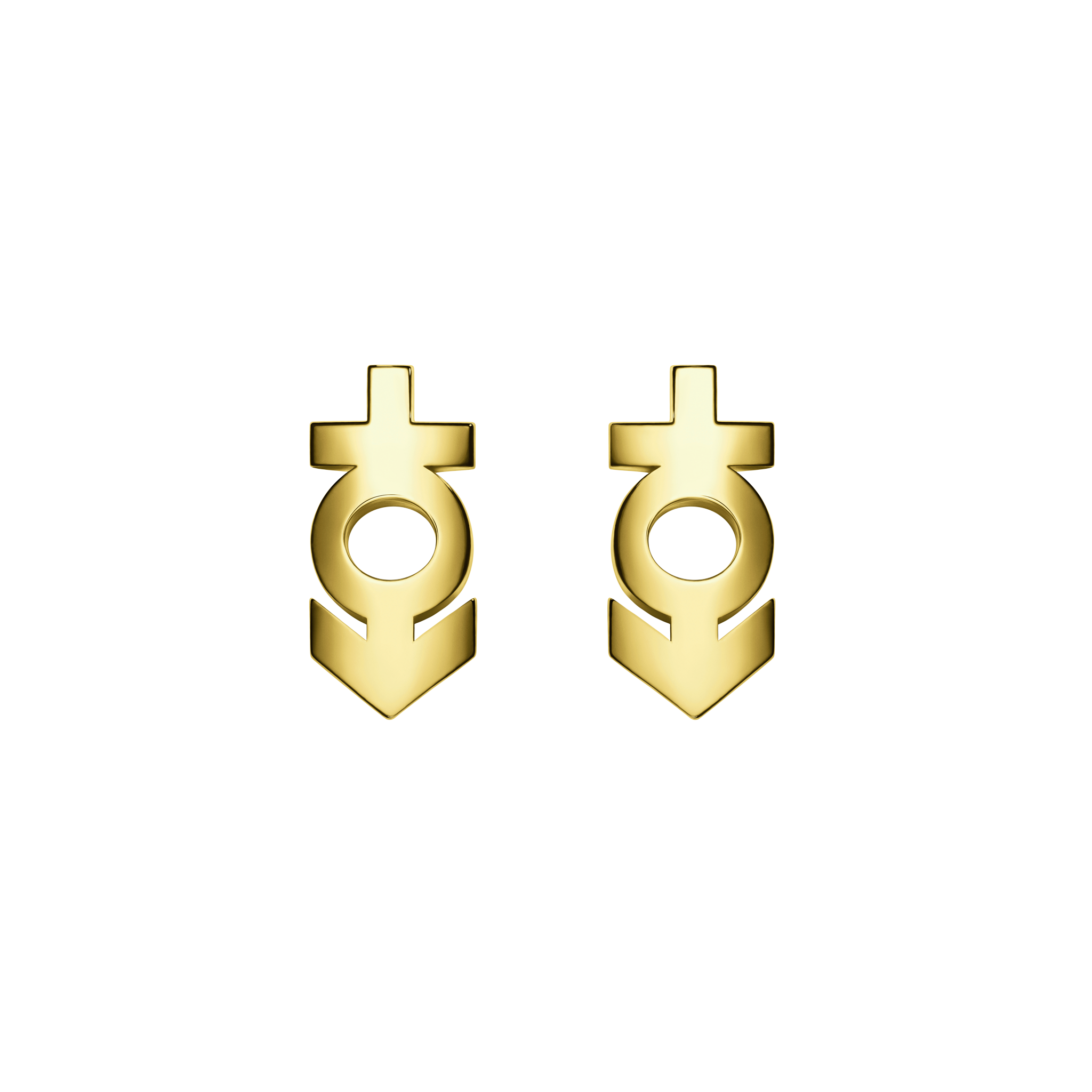 A detail of ⚥ Studs Earring in Yellow Gold